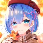 星晴_1190