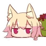xiaomaonie