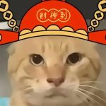 萝卜辣不辣