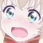 猫里奥小新